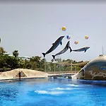 Olimpus Leasure * أذيخي