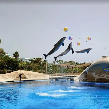 Olimpus Leasure * אדחה