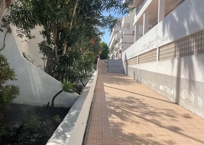 Olimpus Leasure * Адехе