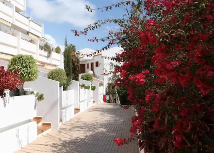 Appartement Olimpus Leasure *