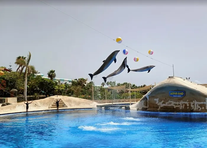 Olimpus Leasure * Адехе