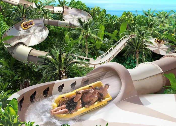 Olimpus Leasure * Адехе